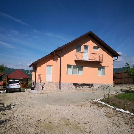 Casa de vacanta Laurentiu Călimăneşti Exterior foto