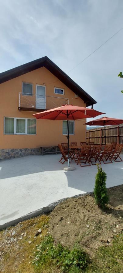 Casa de vacanta Laurentiu Călimăneşti Exterior foto