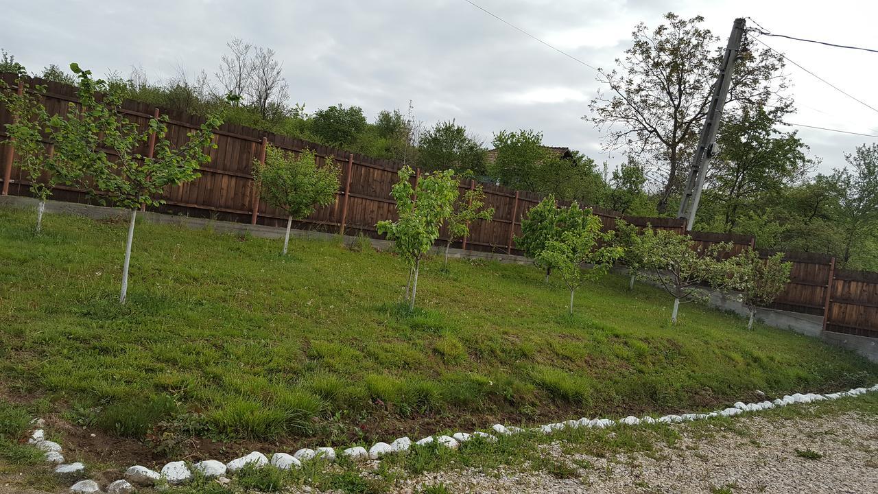Casa de vacanta Laurentiu Călimăneşti Exterior foto